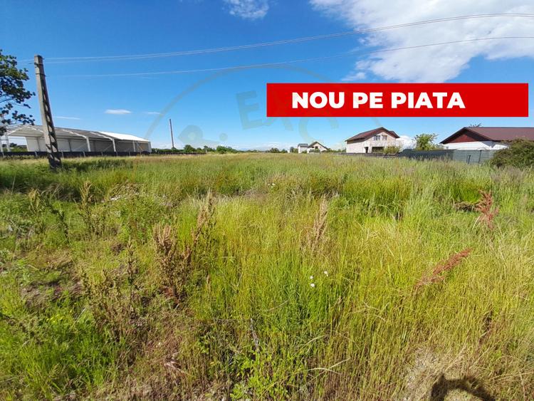Vanzare Teren Intravilan Bradu,jud Arges