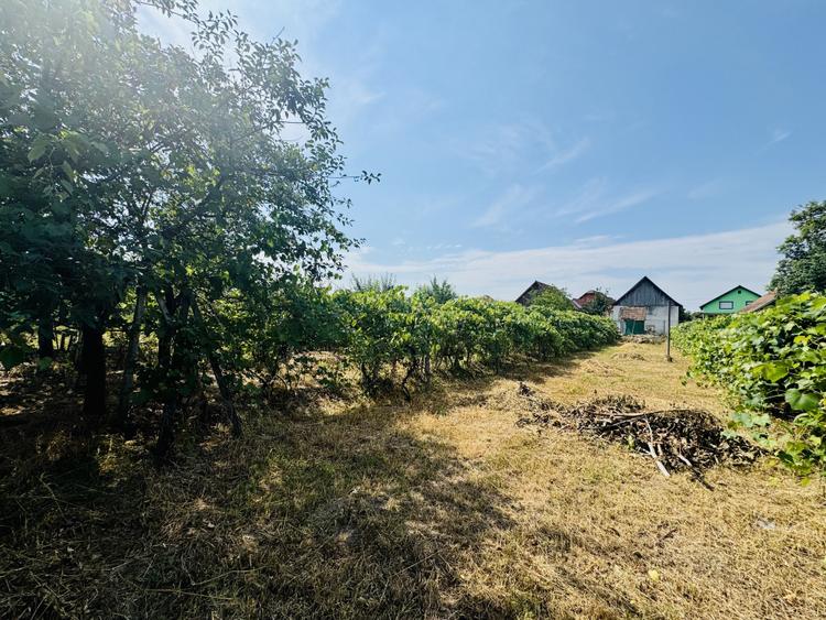 Proprietate cu gospodărie completă - teren 4300 mp – loc. Seica Mare
