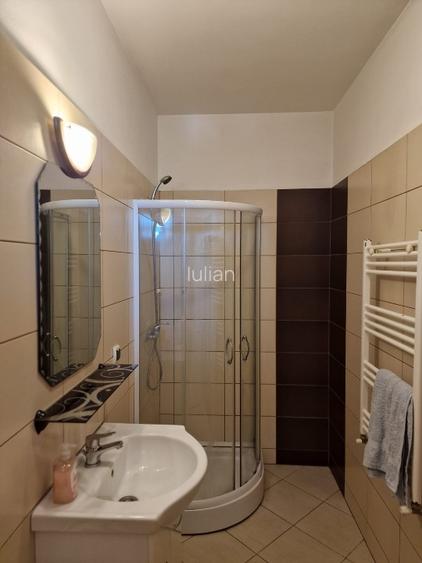 Garsoniera Bucurestii NOi Bazilescu - 6