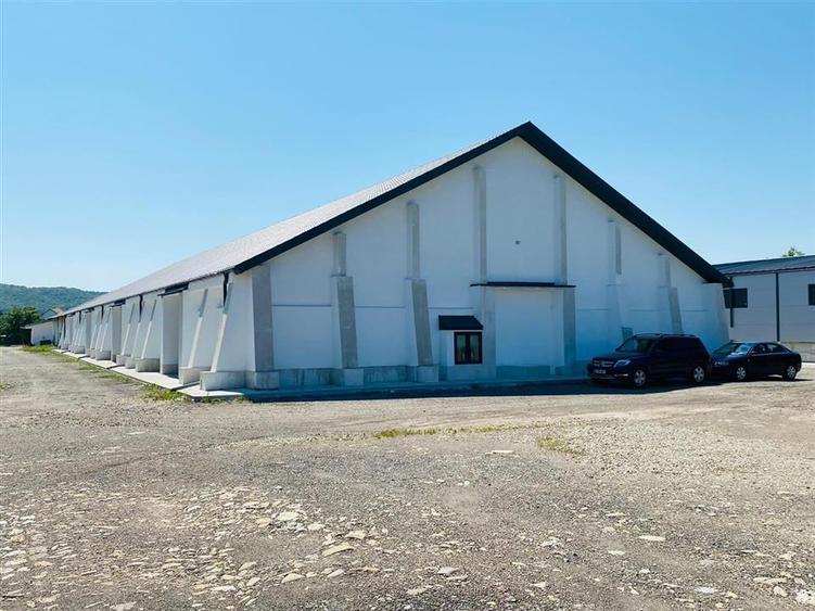 Hale Tg. Neamt, bd. St. cel Mare, depozitare, de la 250mp la 2000mp