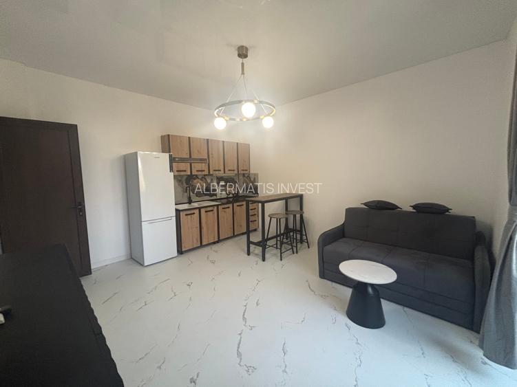 Inchiriere apartament 2 camere cu vedere in Parcul Cismigiu - 6