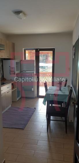 Inchirere casa individuala 5 camere partial mobilata gradina Someseni - 14