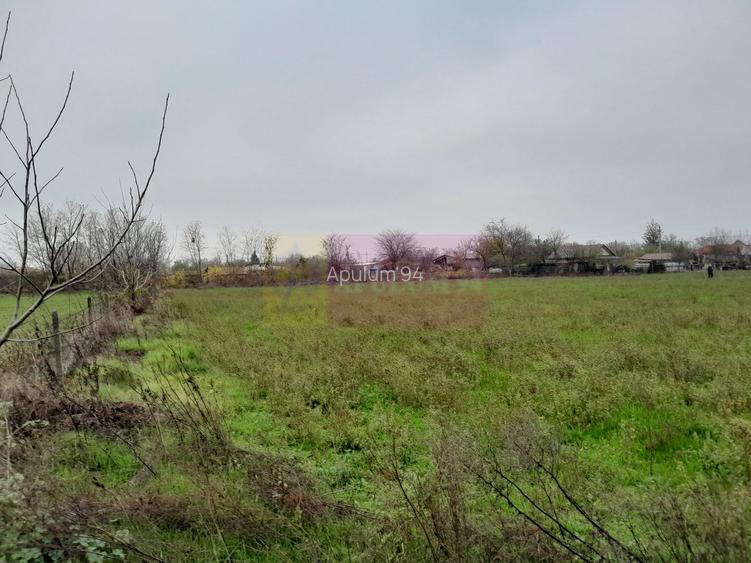 De vanzare casa +teren 16k mp in BARCANESTI / IL - 23