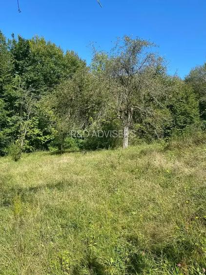 TEREN DE VANZARE INTRAVILAN  2.500MP | VISINESTI I DEALURILE SULTANULUI I - 2
