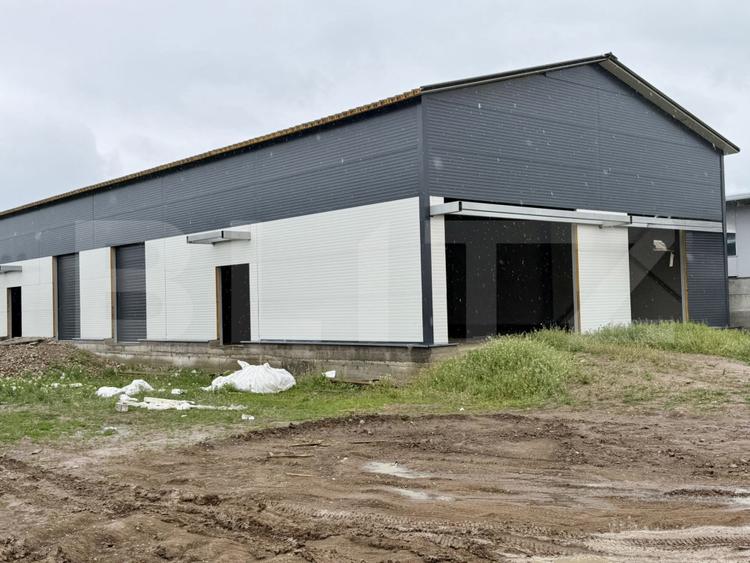 3 hale noi pe parter a câte 590 mp, teren 4.000 mp, zona Ghercești