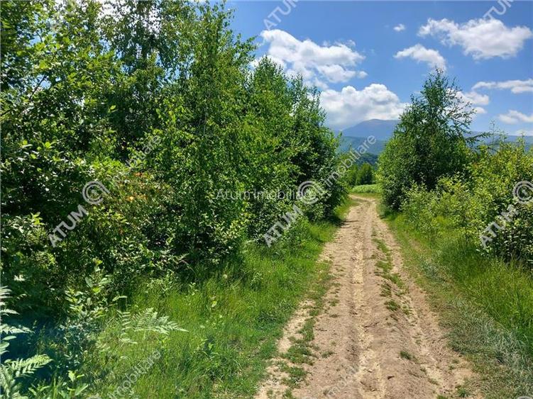 Teren intravilan 3900 mp Porumbacu de Sus, Sibiu - 9