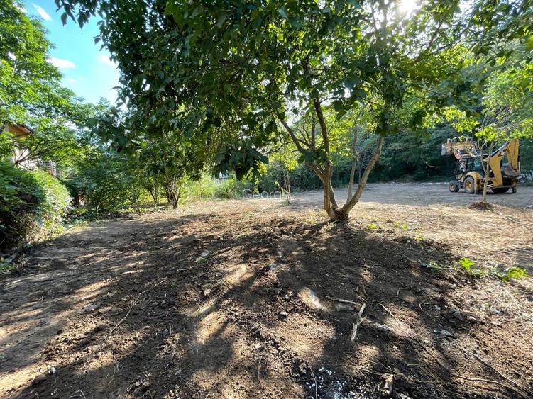 Vand teren la pădure,zona Matei Millo,Erou Mircea Marinescu,Voluntari - 5