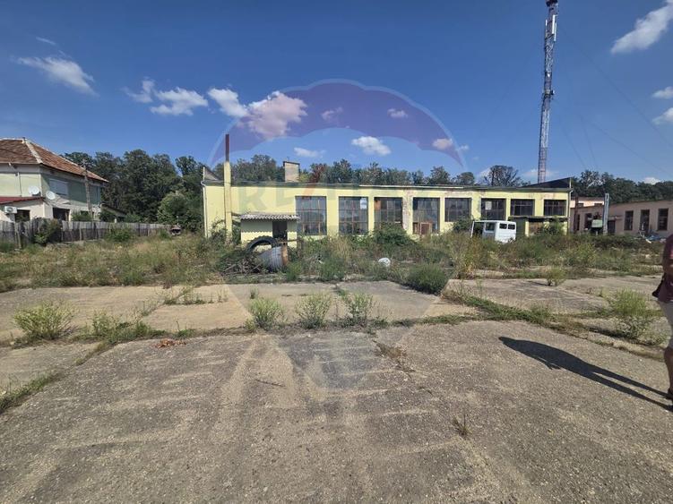 Spațiu industrial 15435 mp. de vânzare in Tinca.