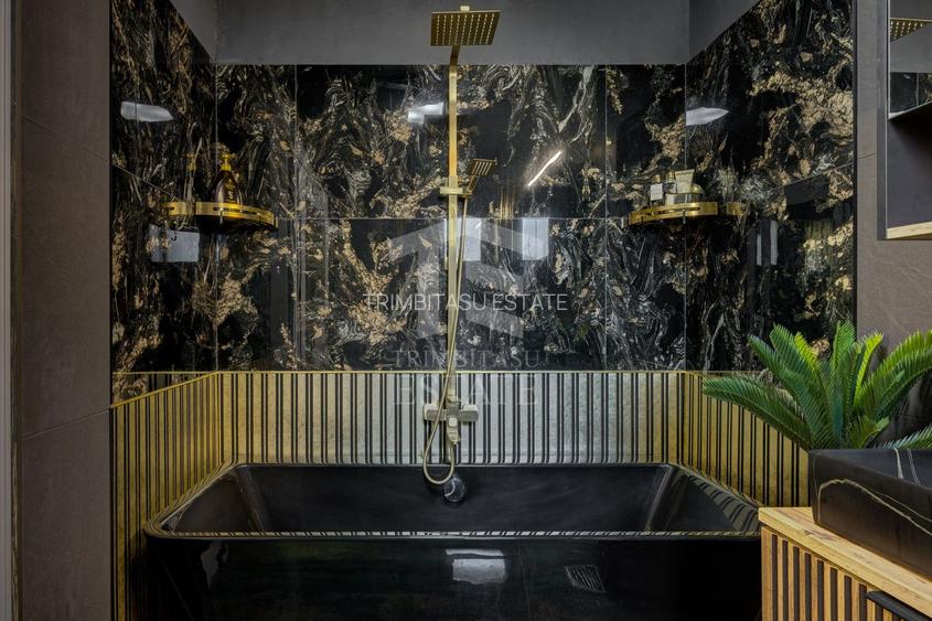 Pipera Henri Coanda Vila Premium Rate la proprietar - 40