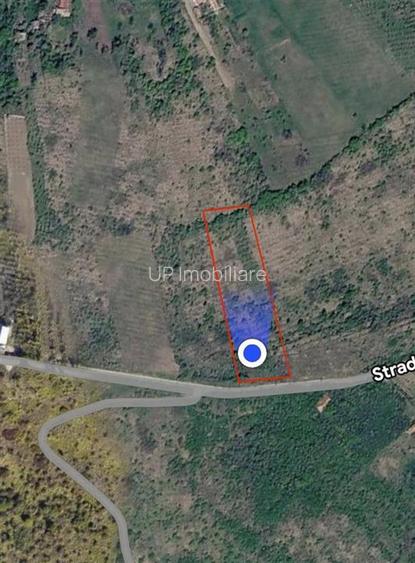 TEREN INTRAVILAN  |  1.824 MP  |  DEALURI  |  ORADEA - 4