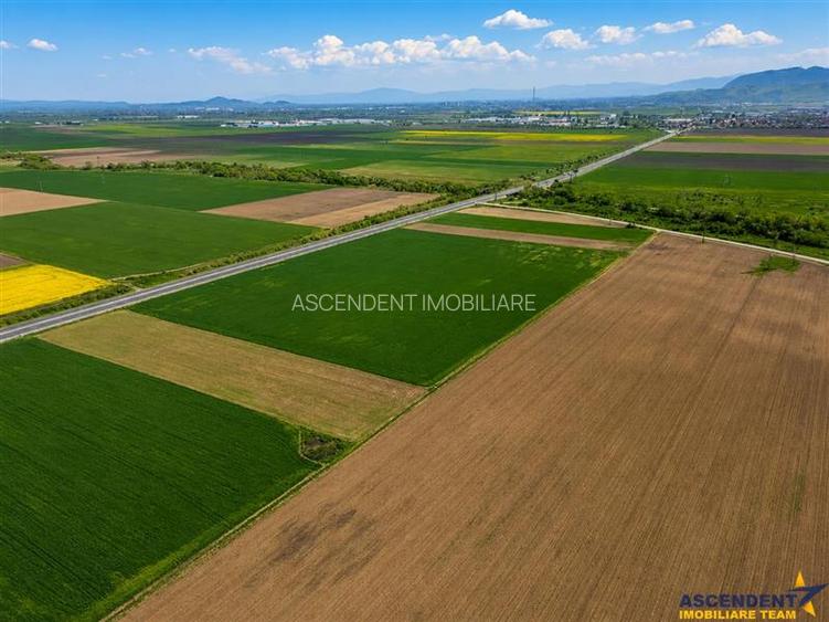 Sectiunea Premium! Teren 47.577 mp, Codlea . Ghimbav, pozitie excelenta la DN 11 - 8