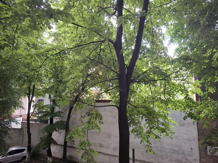 URGENT!, renovat complet, vedere spate, mobilat/utilat modern, liber
