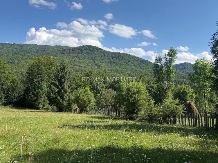 Teren intravilan 1662 mp pozitie superba-Calea Brasovului Valea Neagra - 5