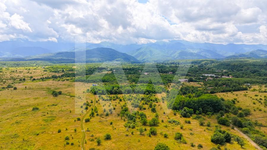 Teren extravilan de vânzare - Valea Avrigului, Sibiu