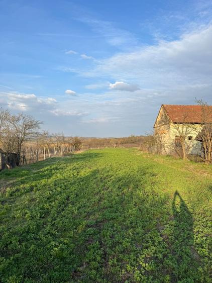Teren Intravilan 1.906 mp| zona Henig