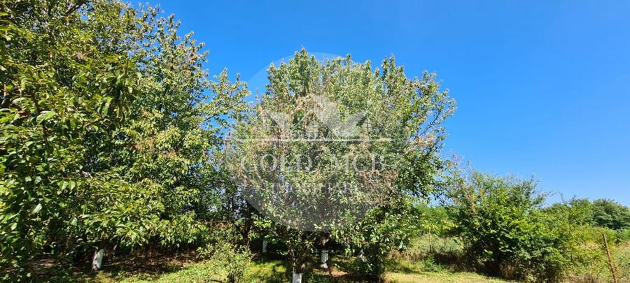Vila Ialomita -Livedea lac - 16