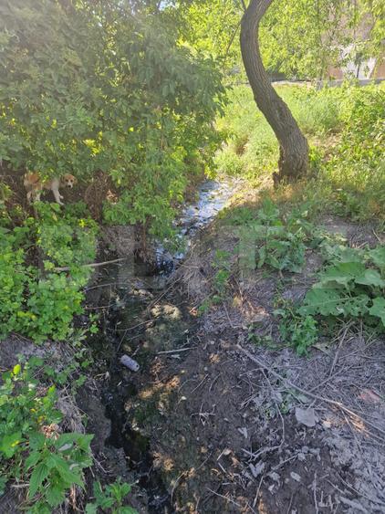 Casa locuibila 74 mp ,cu gradina de 1000mp, Cara
