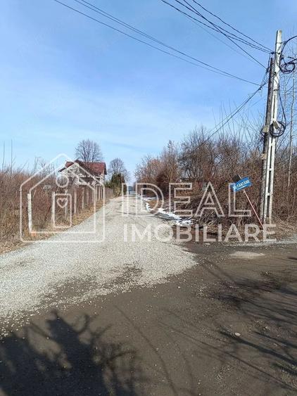 Teren 25.500 mp Valea Avrigului