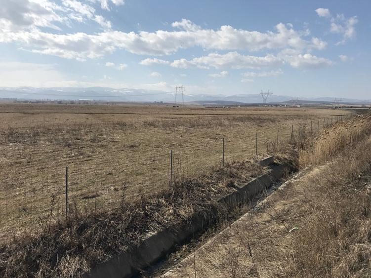 Teren de vanzare 20.000 mp pretabil benzinarie centura, direct de la proprietar!
