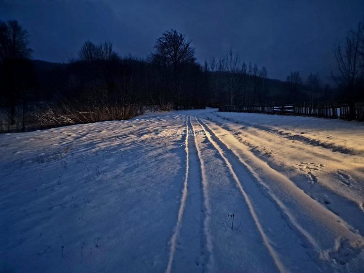 Teren extravilan 5000 mp Sinca Noua - 3