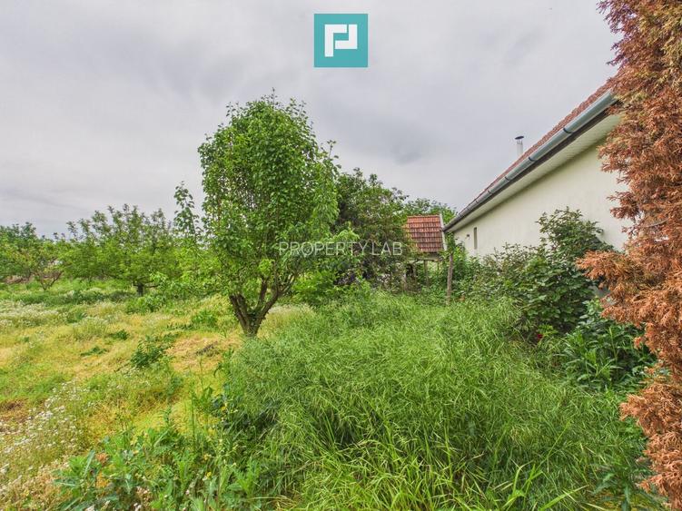 Casă complet modernizată, P+1 în Buteni, Arad - 34