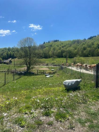 Mai mult decât o cabană - o stare de bine!