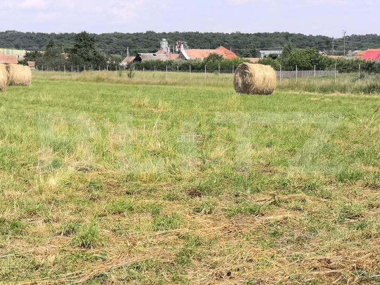 Teren intravilan generos + 2 case – 15.277 mp, front 30 m, multiple posibilități - 11