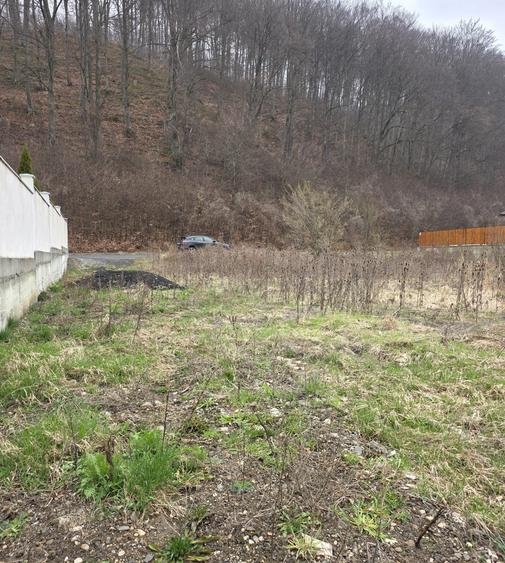 Teren intravilan intre case în Bunloc, lângă pădure – 604 mp