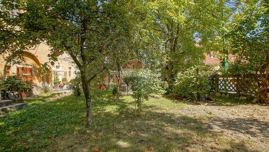 2 CAMERE NOU RENOVAT | TERASA SI GRADINA, PIVNITA | CENTRUL ISTORIC - 27