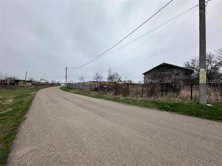 Hala, spatiu comercial, vad, de la 423mp la 1744mp, Vama Albita - 12