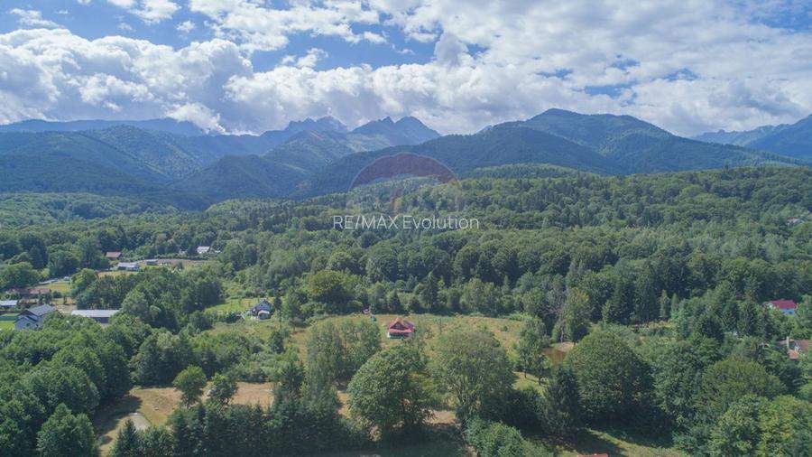 Casă de vacanță la poalele Munților Făgăraș | Teren 8.000 mp | - 6