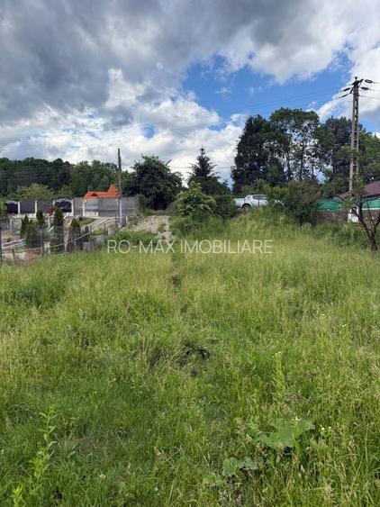 Teren plat-intravilan -3800 mp, cu pădurice și ieșire la râu! - 31