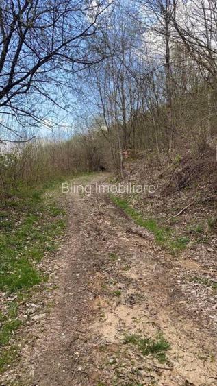 Oportunitate Teren extravilan 4000mp , Zona Baisoara - 5