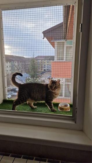 Apartament 3 camere, decomandat, Obcini,  - 7