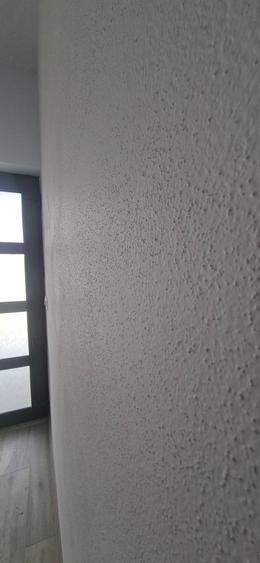 Casa cu 3 camere 80 mp, teren 650 mp, gazon, centru Holboca