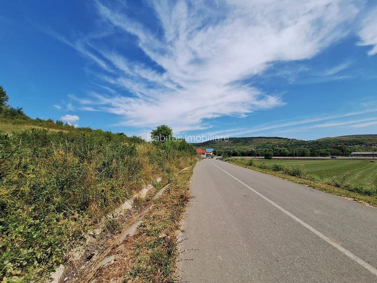 Teren intravilan 5.800 mp, Baciu Vatra Satului Vechi, Panorama superba - 23