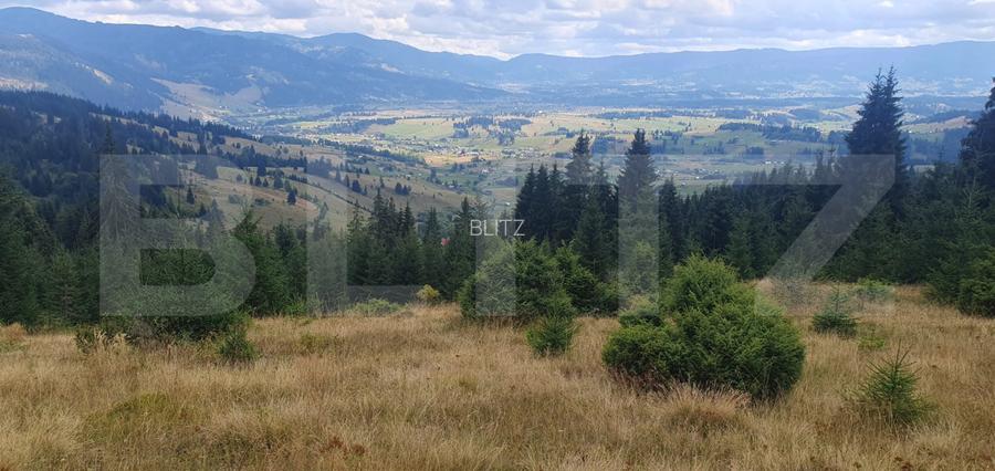 Teren extravilan de vanazre, 42.152 mp, zona Saru Dornei