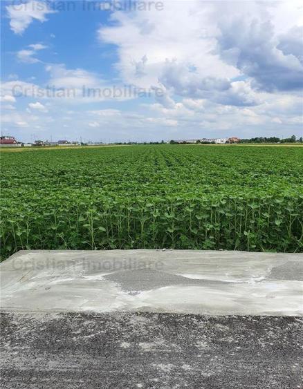 Teren intravilan 8881 mp, stradal, zona Cazasu