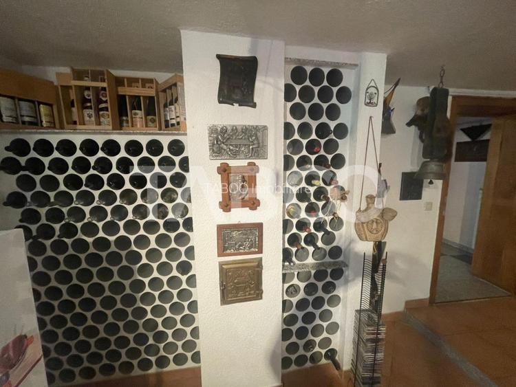 Casa deosebita  de vanzare 453 mp utili si curte 528 mp in Avrig - 22