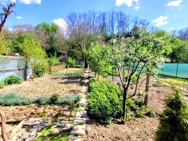 Casă solidă, locuibilă imediat – Blaj, jud. Alba | 3 camere | 120.000 €