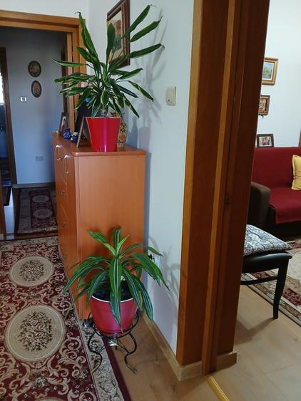 Voluntari  Galata  Vila   individuala  P+E/M  Vanzare  sau Schimb
