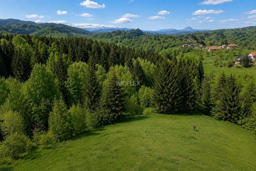 Bran Mountain Retreat – Doar 3 vile exclusiviste în inima Branului - 3