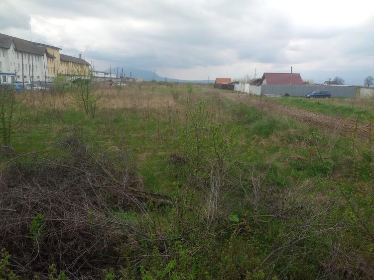 Teren intravilan in Sanpetru, suprafata 500mp