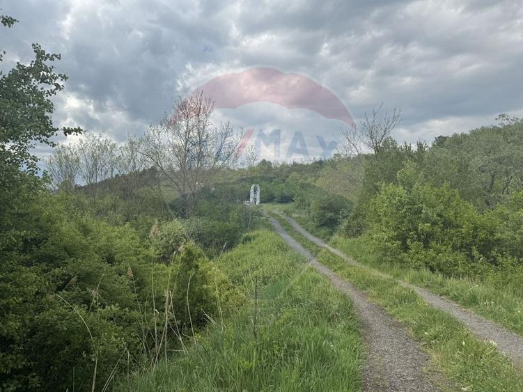 Proprietate OFF-GRID 5,76 Ha. Casa tradiționala lemn. Limită Cluj