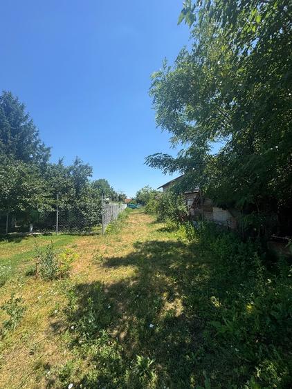 Teren intravilan, ca un colț de Rai lângă Snagov