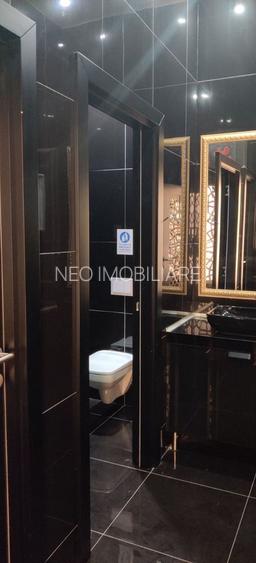 SPATIU COMERCIAL CENTRAL ZONA DACIA la 3.400 euro - 21