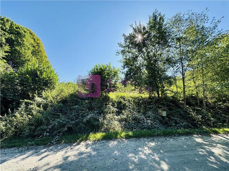 Teren intravilan 3000 mp | Valea Avrigului | deschidere 80 ml