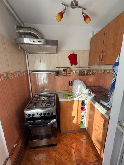 Apartament spațios Bucovina