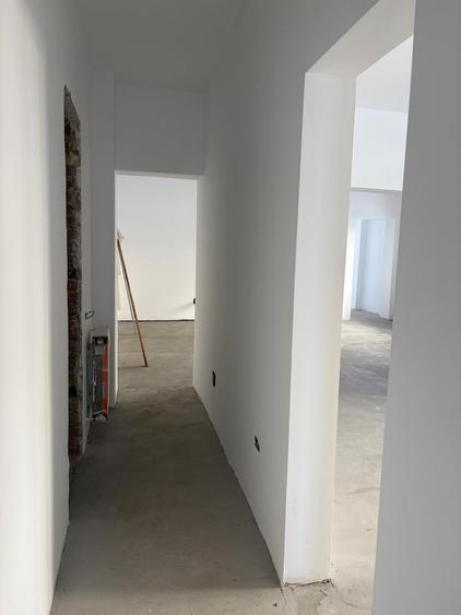 OPORTUNITATE ! Casa Mare cu Teren in Proprietate ! Icoanei