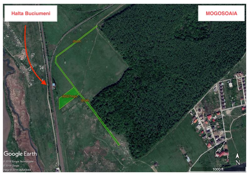 Oportunitate Investitie - 6000mp - Mogosoaia